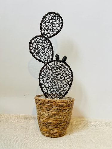 Cactus figuier 3 - 48