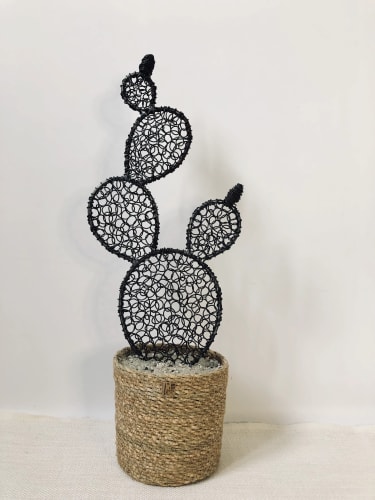 Cactus figuier 5 -48