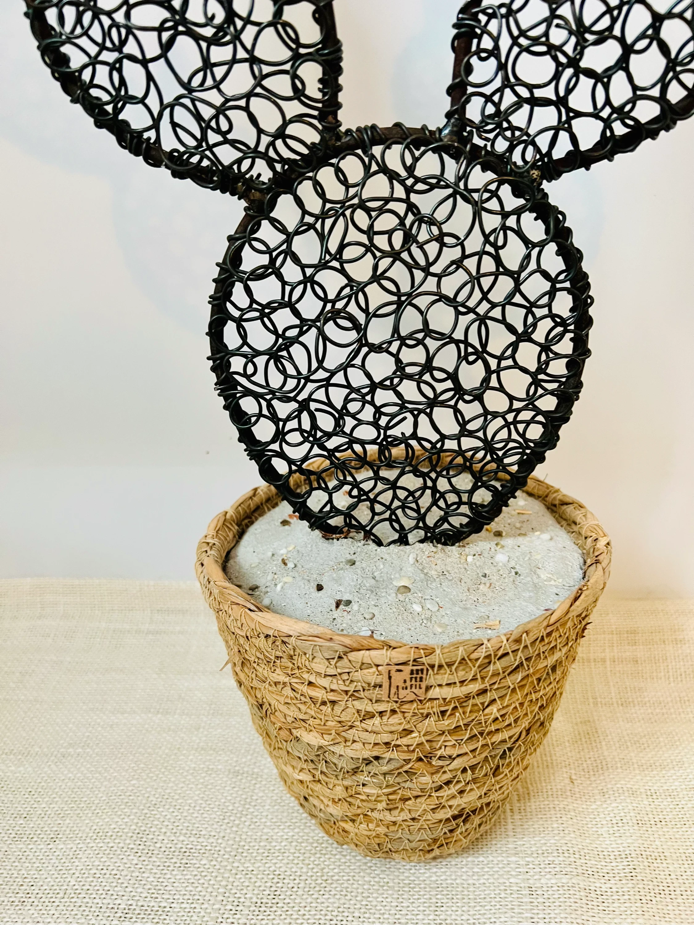 Cactus figuier 6 - 45