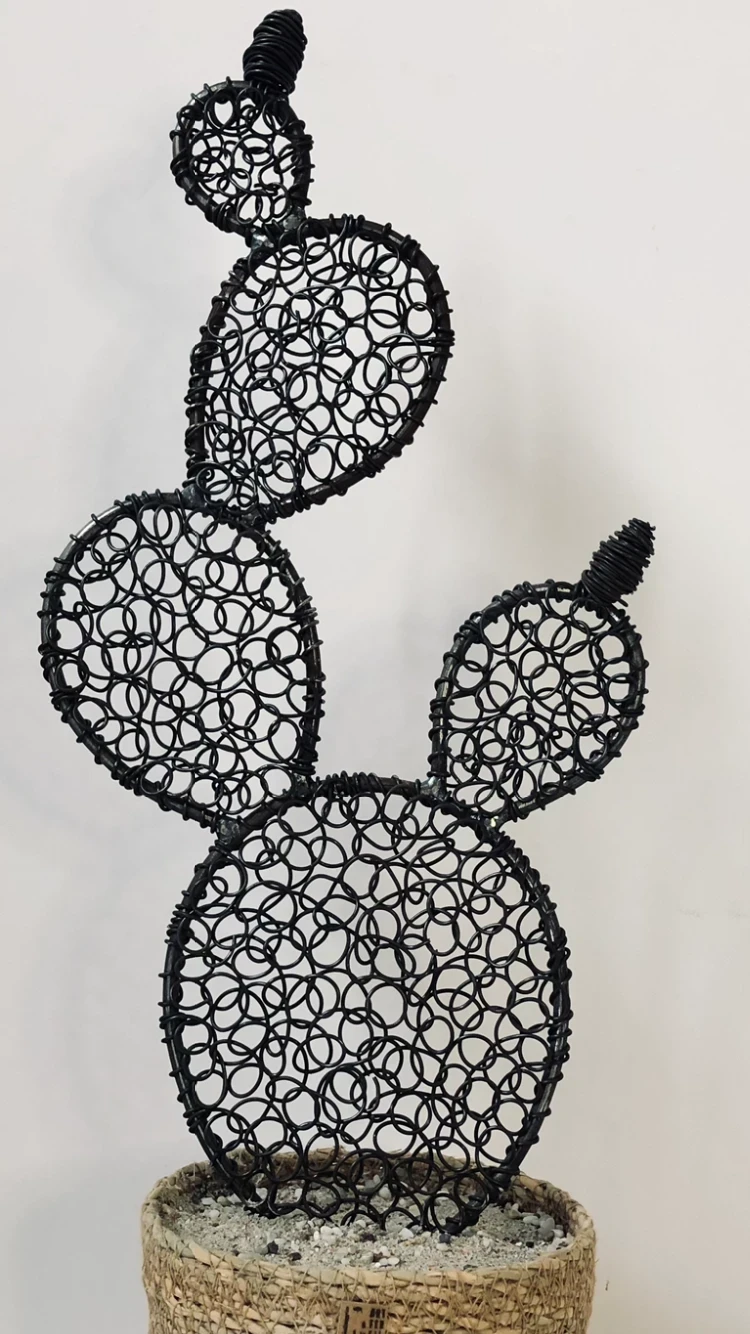 Prickly pear cactus 5 -48