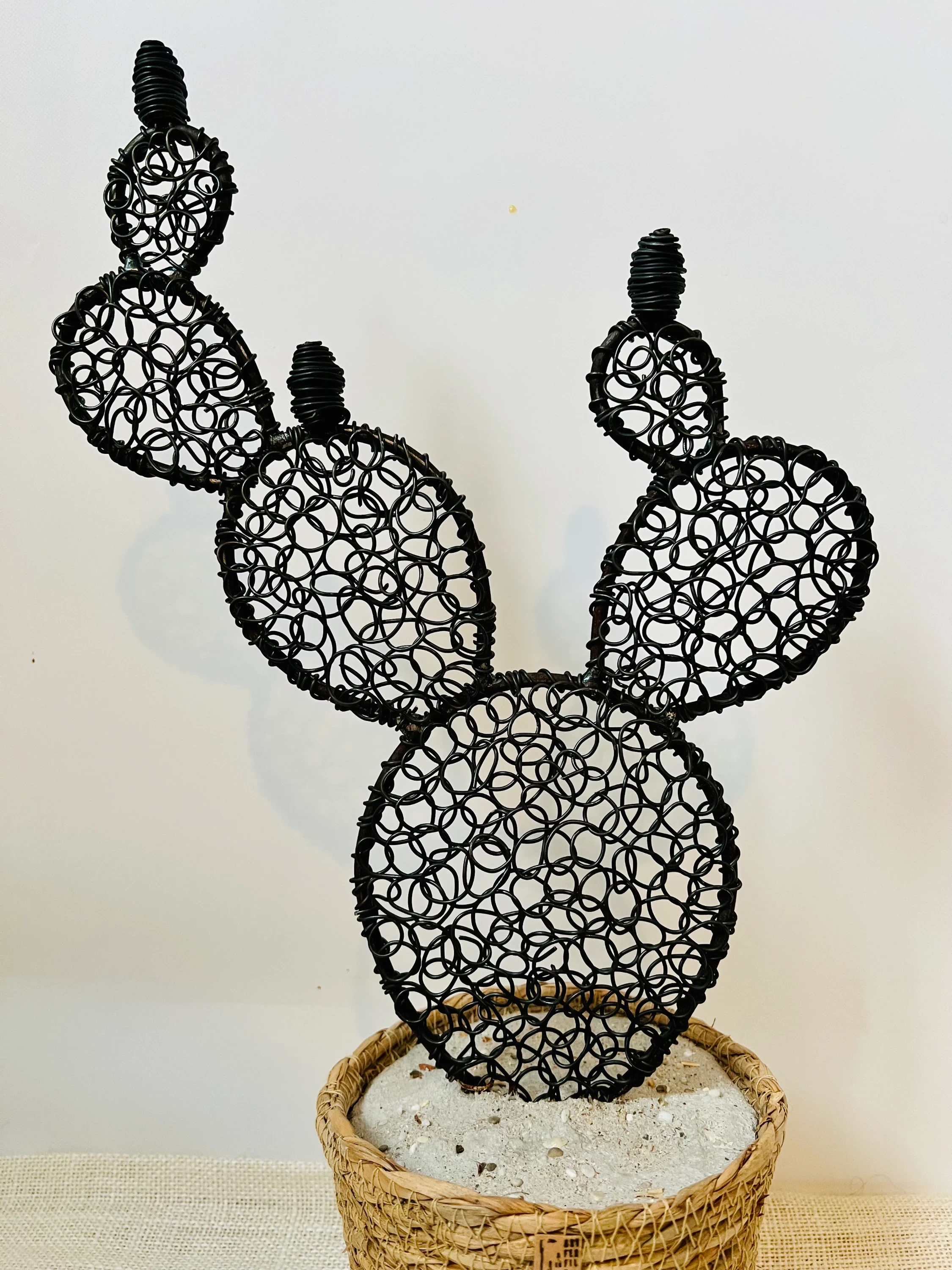 Cactus figuier 6 - 45