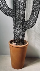 cactus candélabre mailles 98