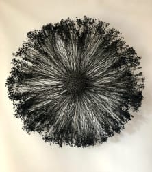 Sun in wire & plants - 80