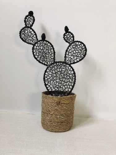 Cactus figuier 6 - 45