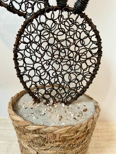 Cactus figuier 3 - 48