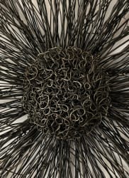 Sun in wire & plants - 80