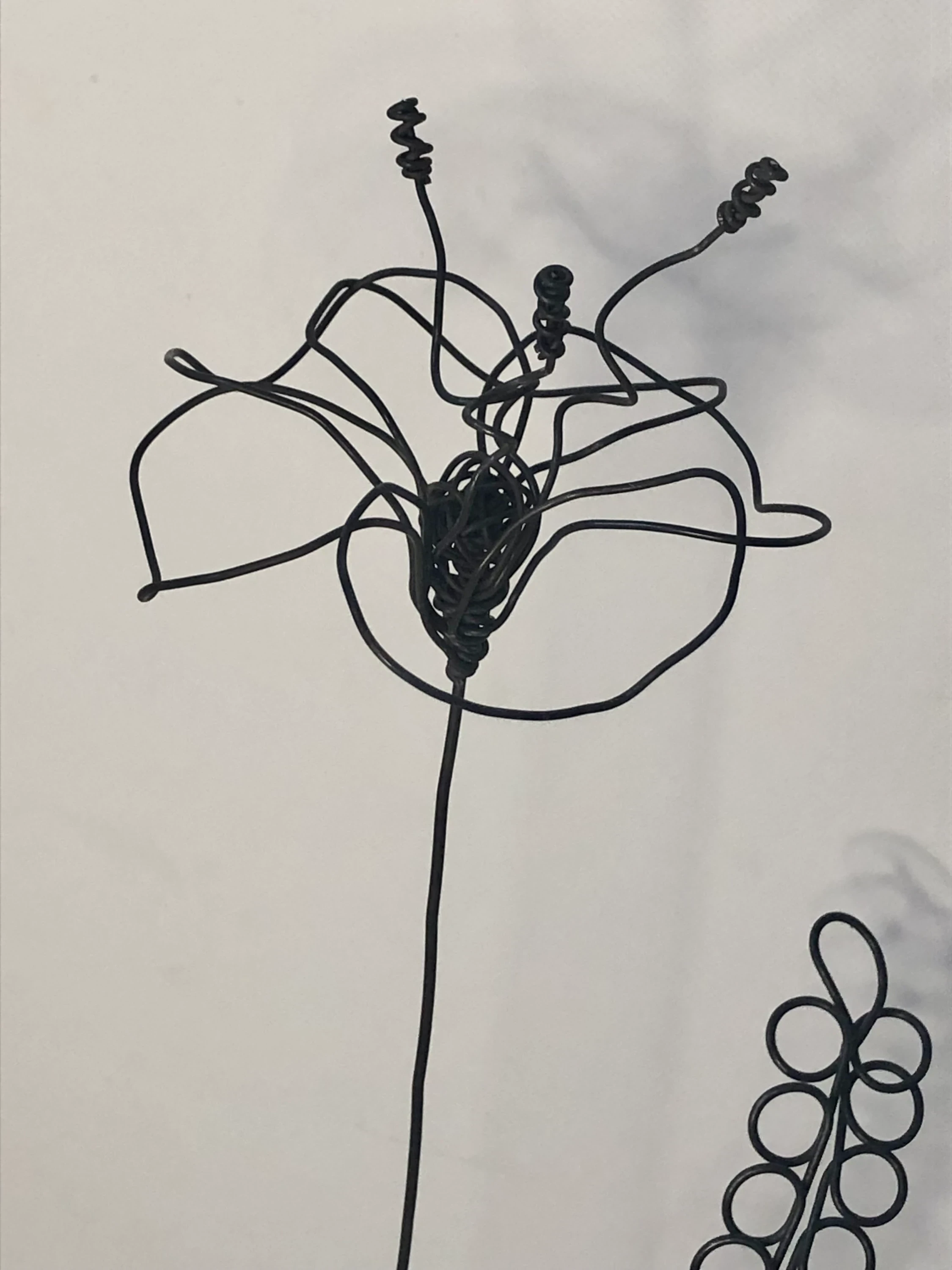 Poppy flower in wire & base