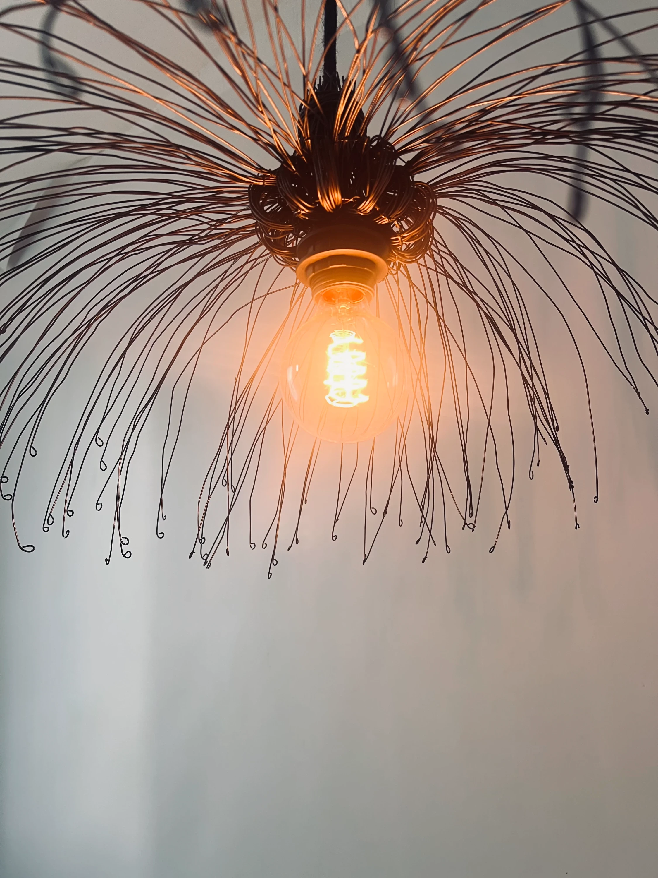 Luminaire en fil de fer