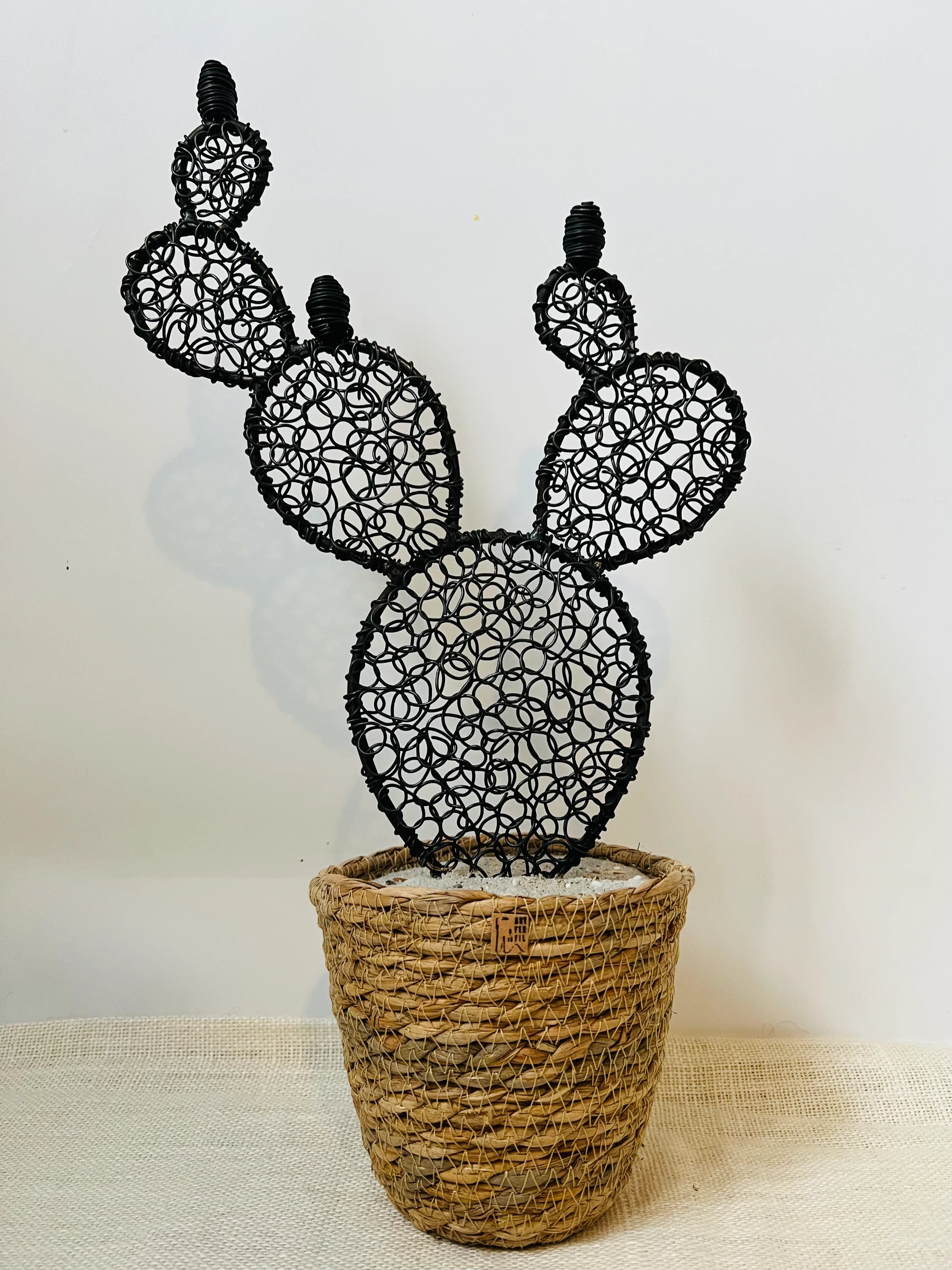 Cactus figuier 6 - 45