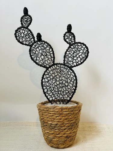 Cactus figuier 6 - 45