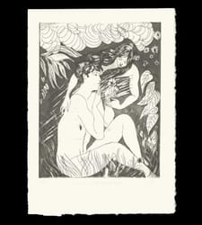 Estine Coquerelle