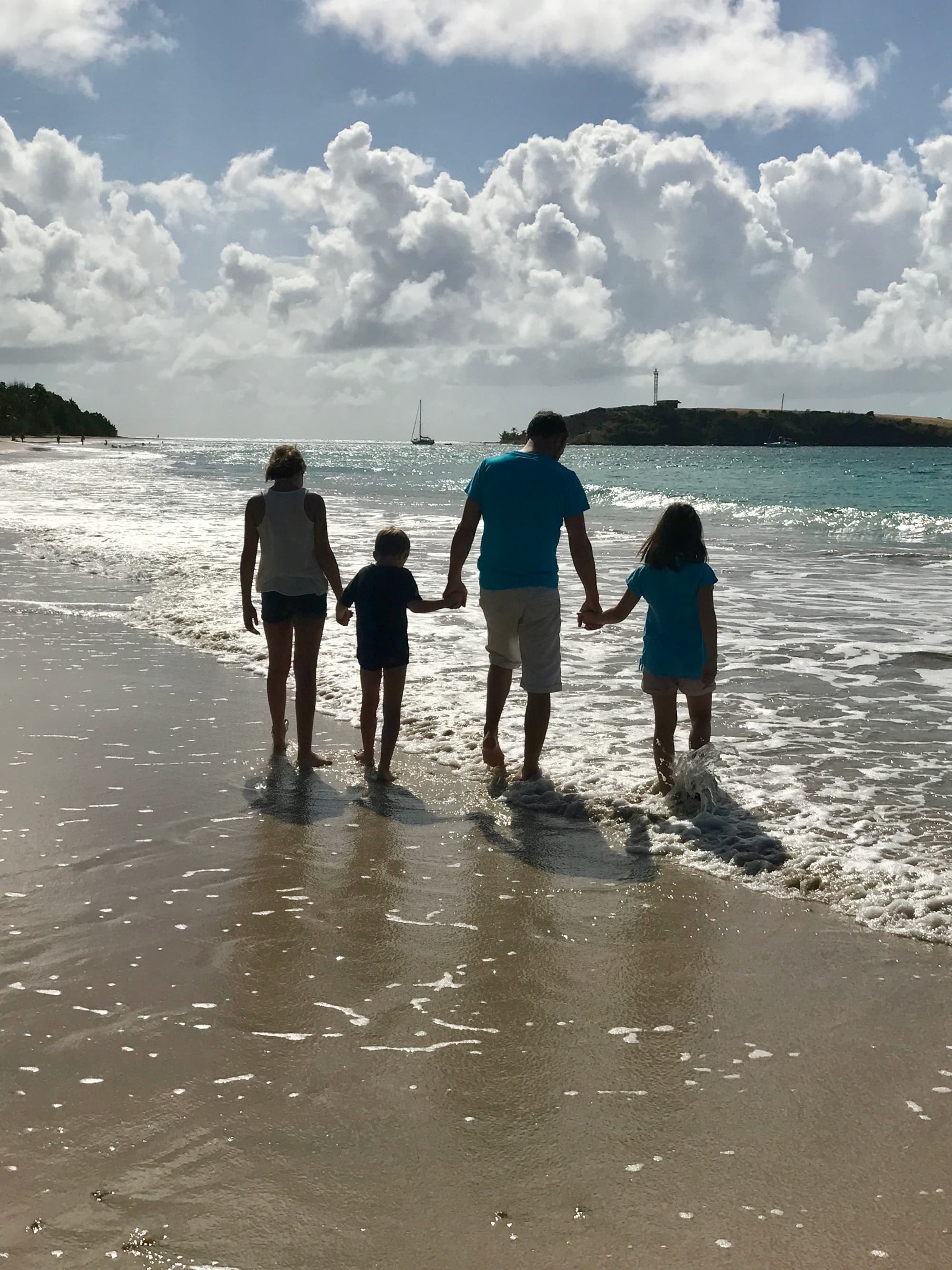 L'approche systémique