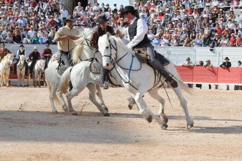 Des événements nombreux, au fil des saisons.Numerous Events with the season.