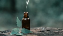Bouteille en verre marron avec une pipette, goutte d'huile tombant, entourée de feuilles vertes sur un fond flou.