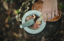 Une main versant un liquide d'une bouteille sur un mélange d'ingrédients dans un mortier en pierre, avec un fond naturel et des éléments forestiers.