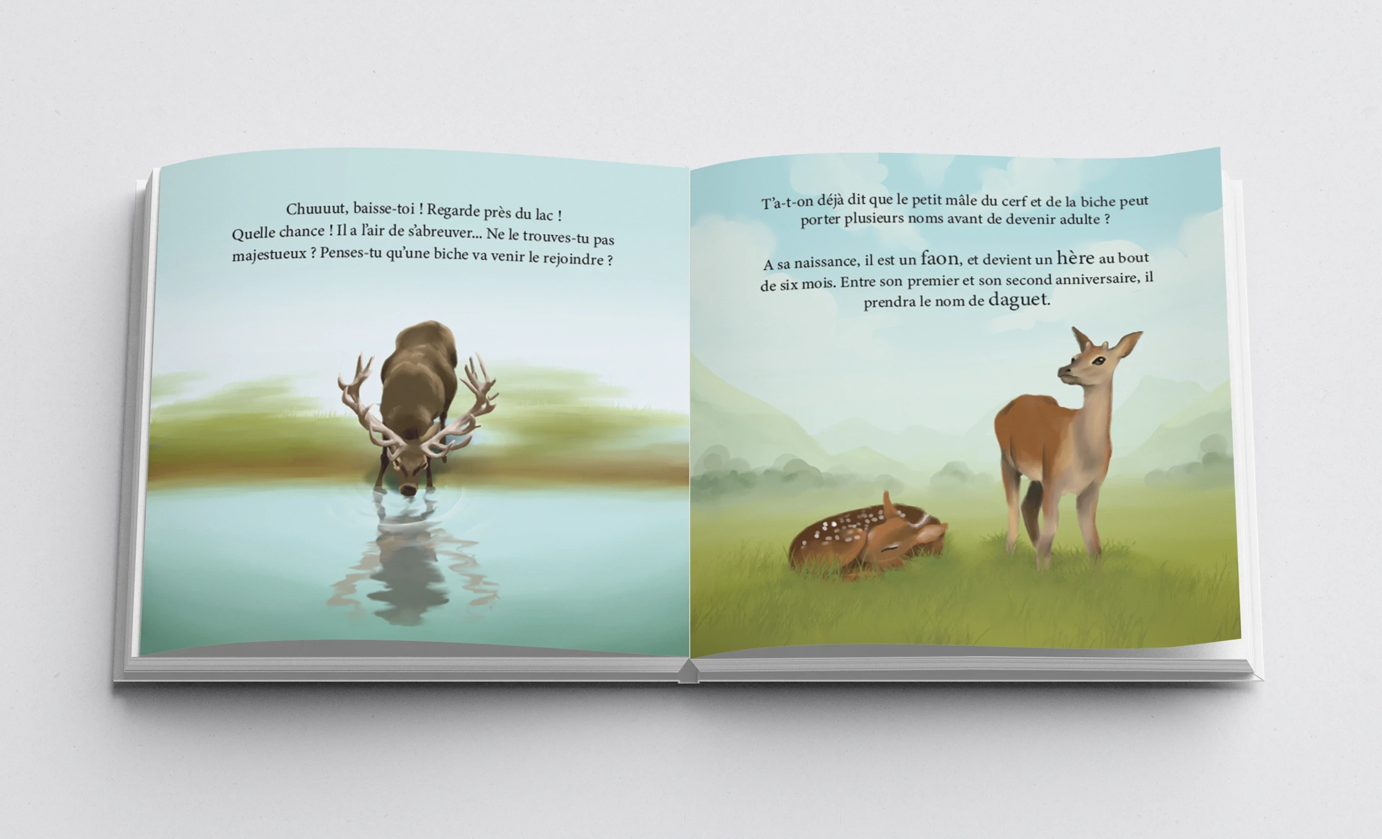 Livre Papi gambade dans la Montagne