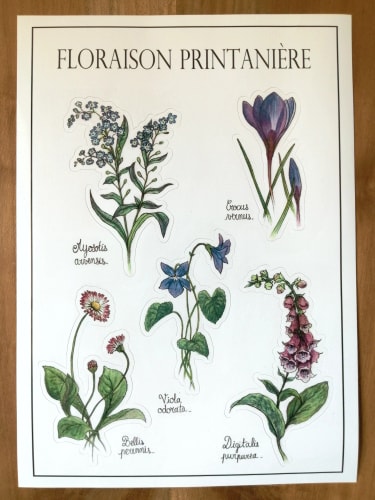 Planche de stickers Floraison printanière