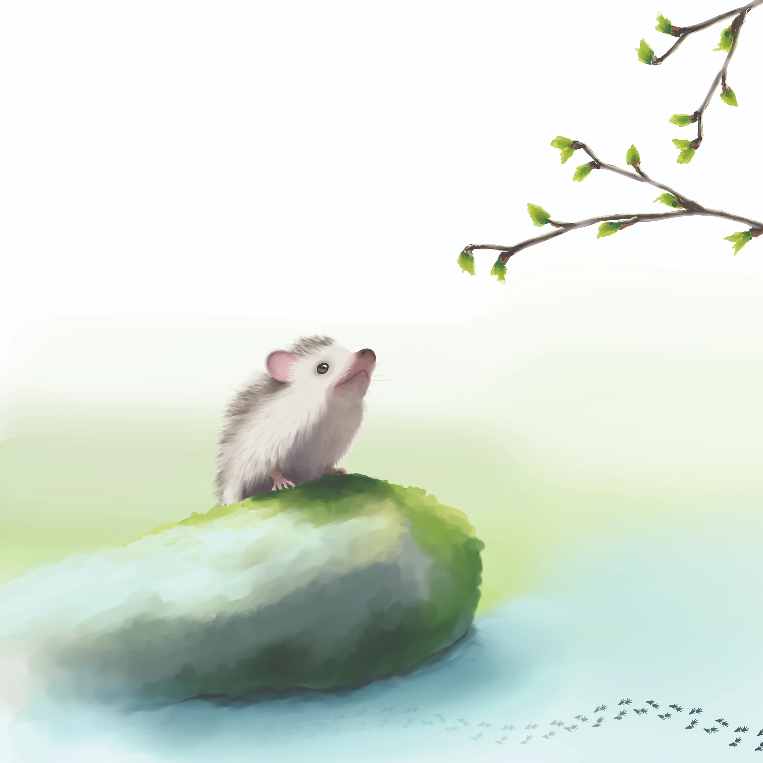 Livre Papi gambade dans la Montagne