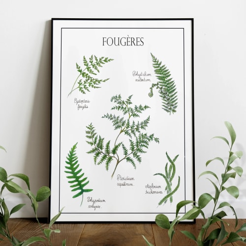 Fougères