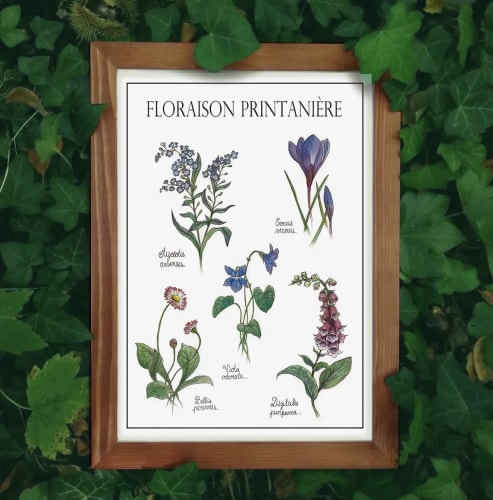 Floraison printanière