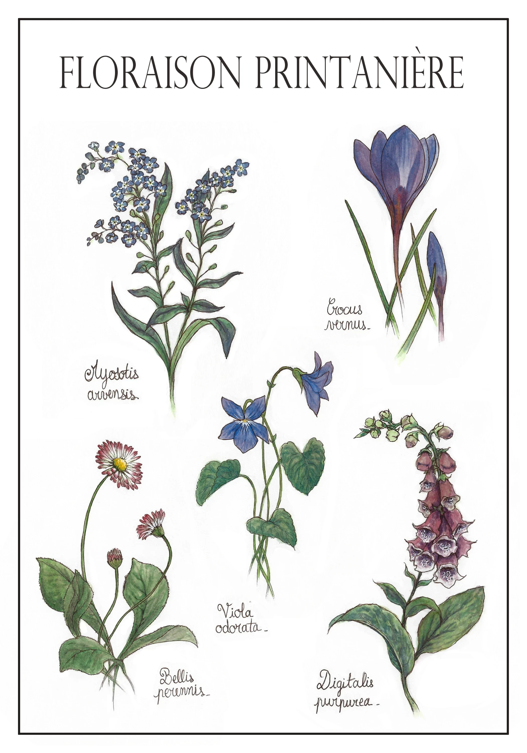 Floraison printanière