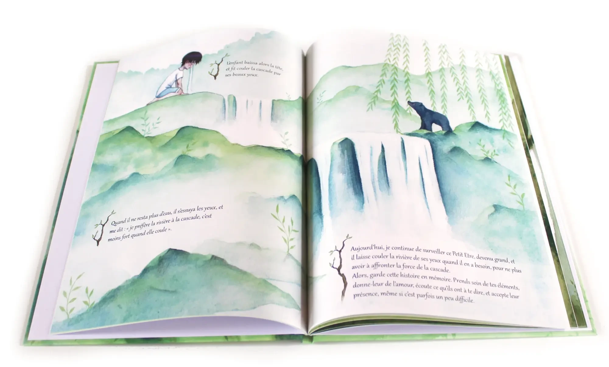 Livre La Forêt des Emotions