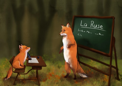 Leçons de renard
