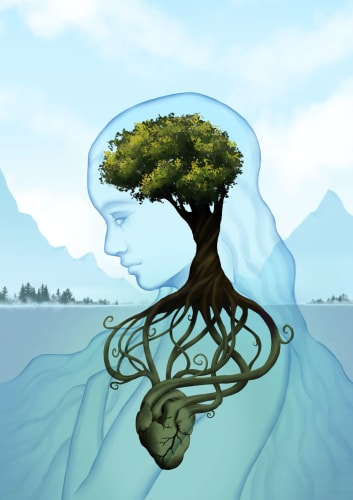 Equilibre