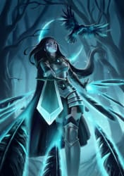 Crow Knight