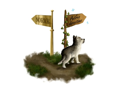 A la croisée des chemins