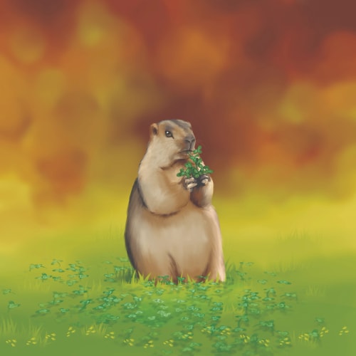 Livre Papi gambade dans la Montagne