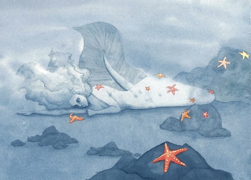 Etoiles de mer