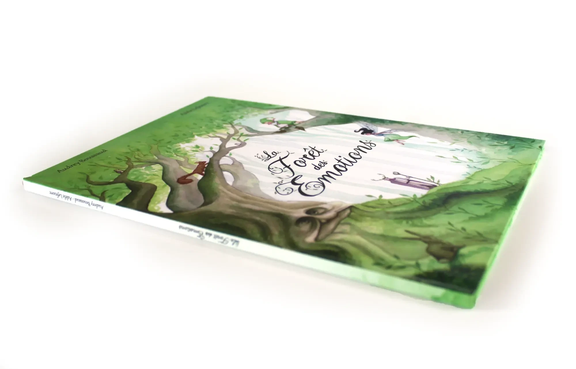 Livre La Forêt des Emotions