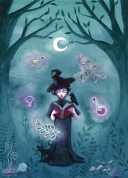 The Apprentice Witch