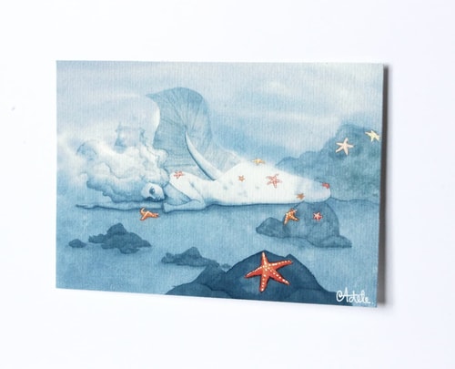 Etoiles de mer