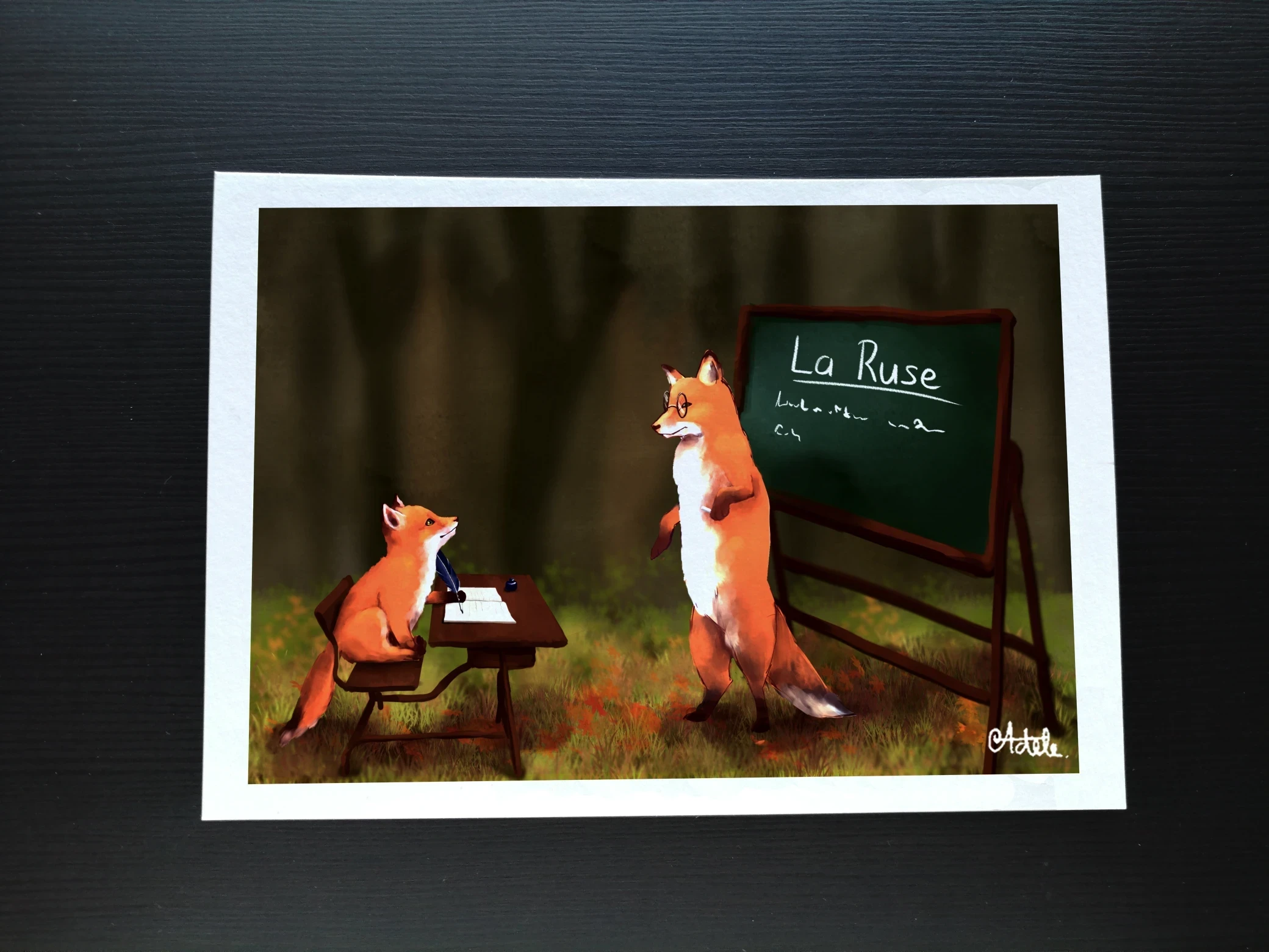 Leçons de renard