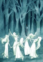 Fairy Circle