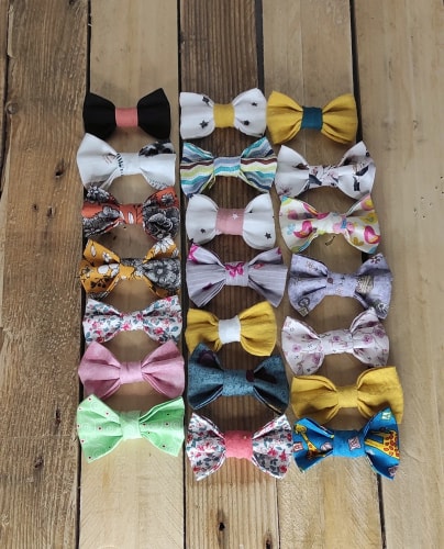 Petite Barrette Noeud