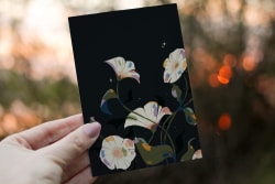 Carte postale capucines
