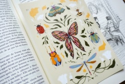 Planche de stickers "metamorphosis"