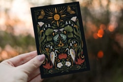 Carte postale soleil levant