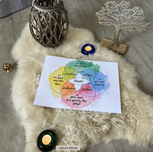 Atelier IKIGAÏ (orientation métier)