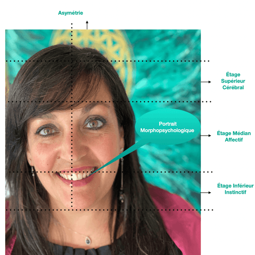 Portrait d'une femme souriante avec des cheveux noirs, entourée d'un fond coloré et des annotations sur différentes étages psychologiques : Portrait de Morphopsychologie.