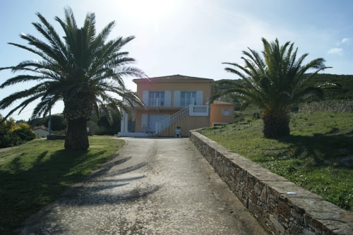 La maison A Pianatella entourée de palmiers sur une route menant à une colline.