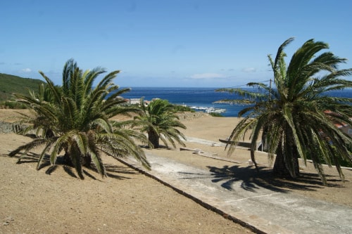 Vue d'un paysage côtier avec des palmiers sur une colline, sur fond de mer et ciel bleu.