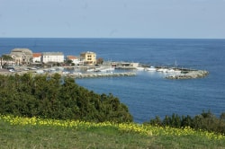 Vue d'un port paisible avec des bateaux amarrés, des maisons au bord de l'eau et une verdure florissante en premier plan.