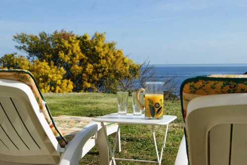 Deux chaises longues blanches sur une pelouse verte, avec une table entre elles portant un pichet de jus et deux verres, et une vue sur l'océan et des arbres aux feuilles jaunes en arrière-plan.