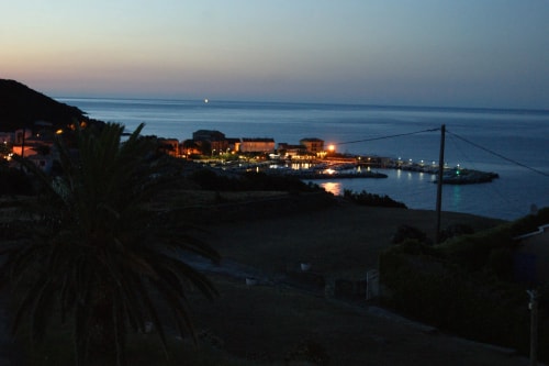 Vue panoramique d'un port tranquille au crépuscule, avec des bâtiments éclairés et un palmier au premier plan.