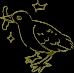 Illustration stylisée d’une grenouille allongée, dessinée en traits olive, avec des pattes palmées et quelques étoiles décoratives autour.