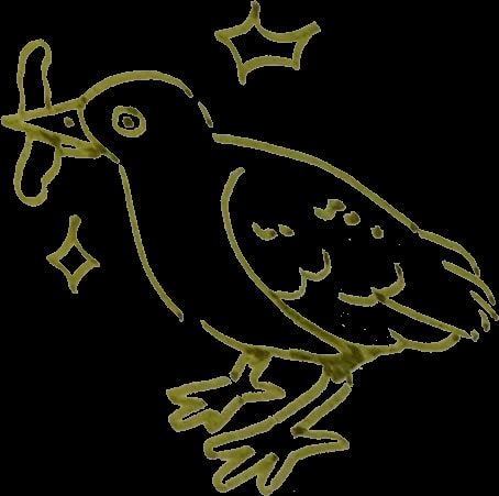 Illustration stylisée d’une grenouille allongée, dessinée en traits olive, avec des pattes palmées et quelques étoiles décoratives autour.